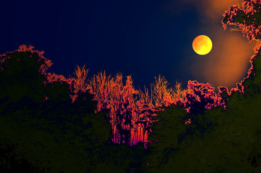 Nature Digital Art - Life of the night  by Bliss Of Art