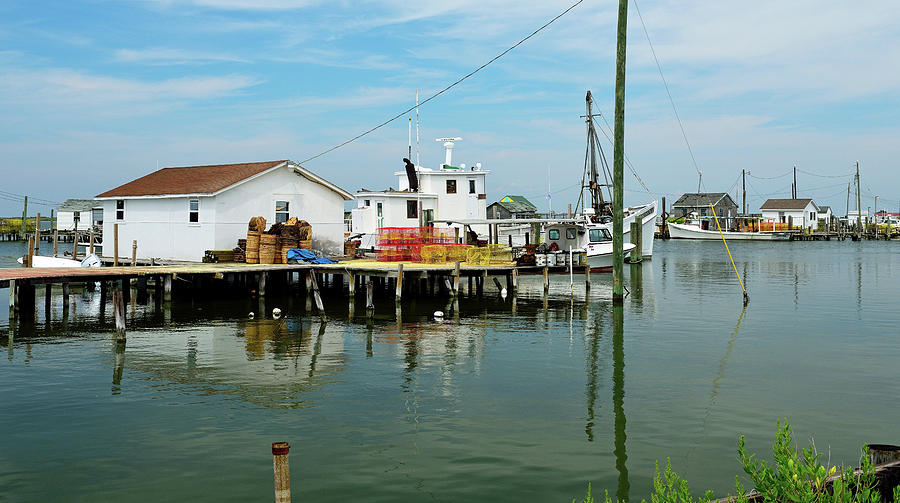 Life On Tangier Island Photograph by Jamie Pattison