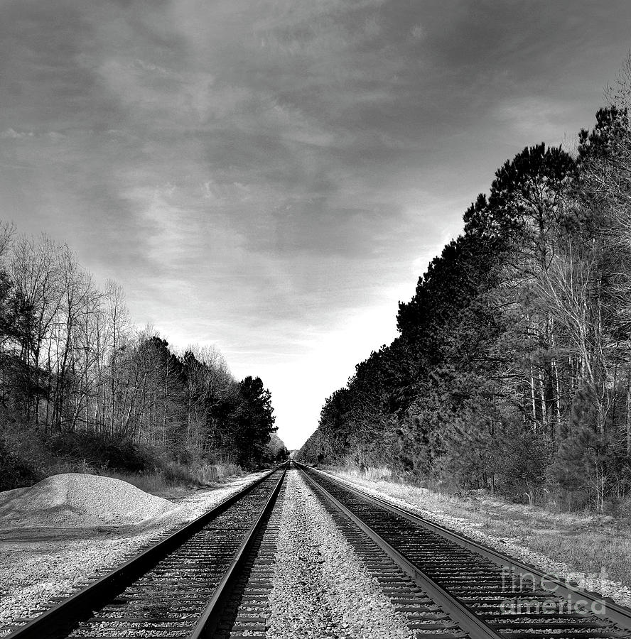 Life On The Rails Bnw Photograph by Skip Willits