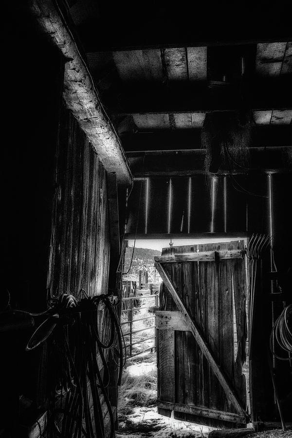 Did You Grow Up in a Barn Photograph by Marnie Patchett