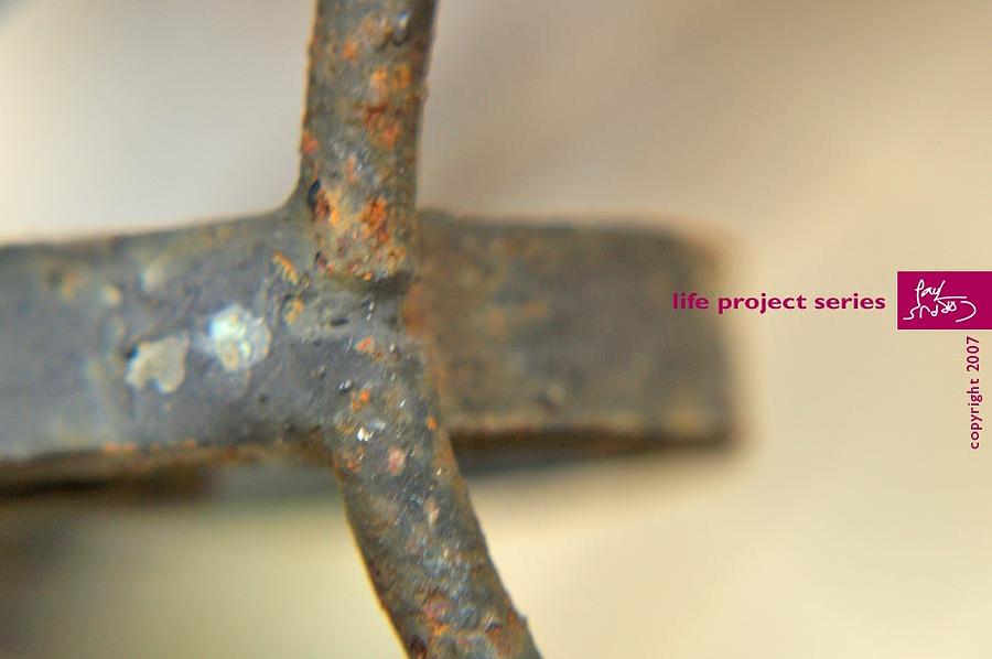 Details Photograph - Life Project Series by Paul Corpus Details Photograph - Life Project Series by Paul Corpus