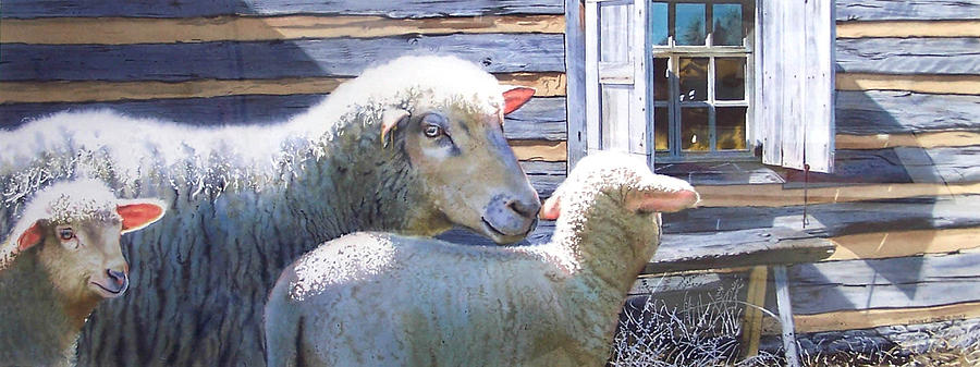Sheep Painting - Life Renewed by Denny Bond