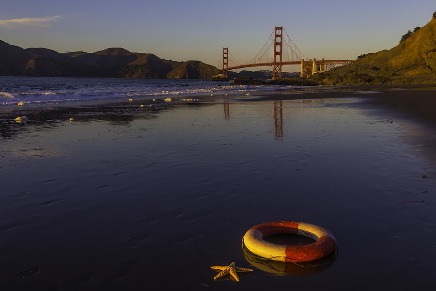 San Francisco Photograph - Life Ring And Starfish by Garry Gay
