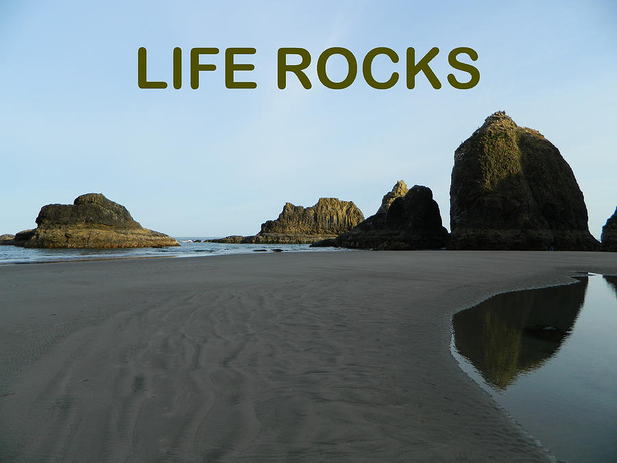 Life Rocks Photograph by Gallery Of Hope 