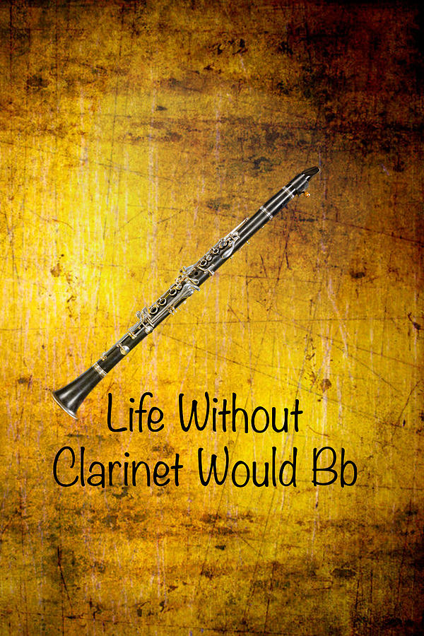 Life Without Clarinet Would Bb 5029.02 Photograph by M K Miller