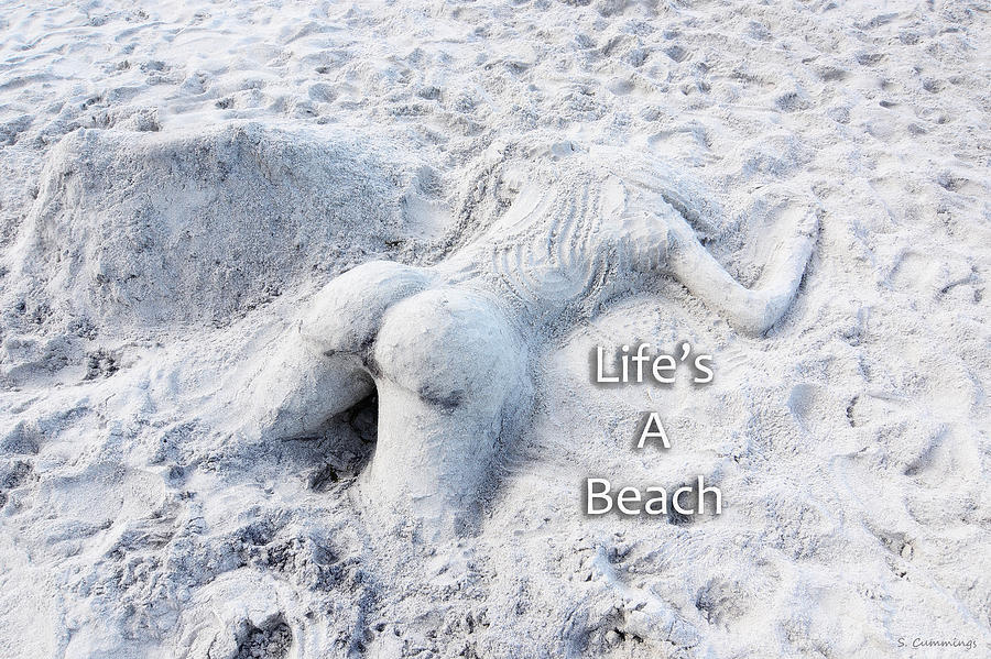Beach Photograph - Lifes A Beach by Sharon Cummings by Sharon Cummings Beach Photograph - Lifes A Beach by Sharon Cummings by Sharon Cummings