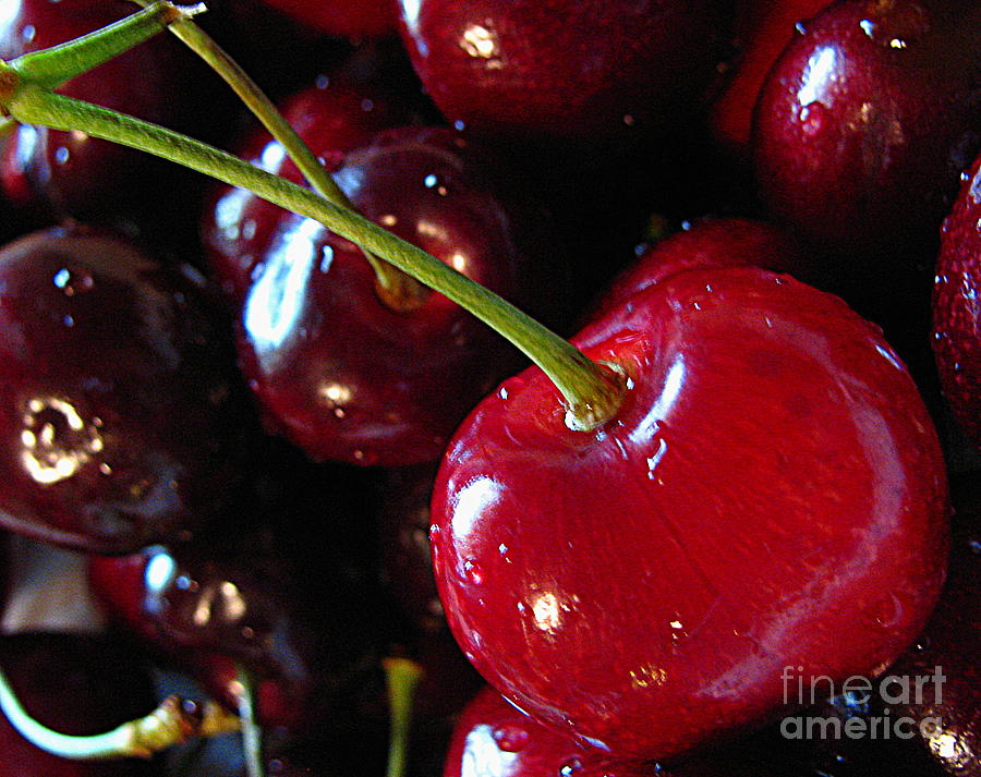 Lifes a Bowl of Cherries Photograph by Colleen Kammerer