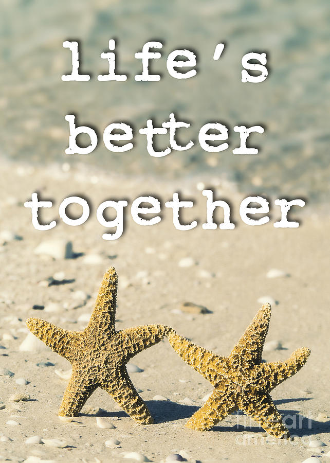 Lifes Better Together Starfish Photograph