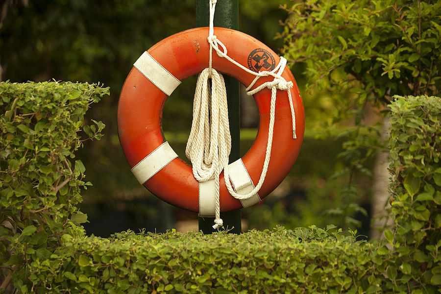 Lifesaver Photograph by Lori Knisely