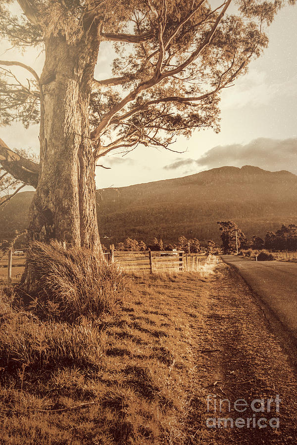 Liffey vintage rural landscape Photograph by Jorgo Photography