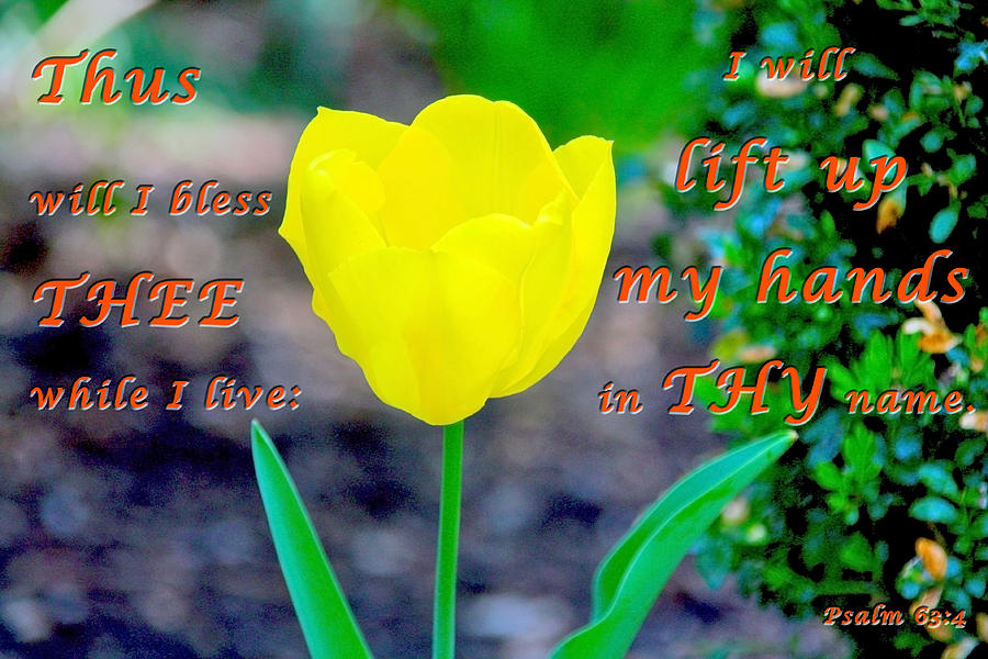Bible Verse Photograph - Lift Up MY Hands by Terry Wallace