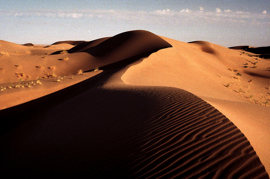 Desert Photograph - Light And Shade by Robert Shahbazi