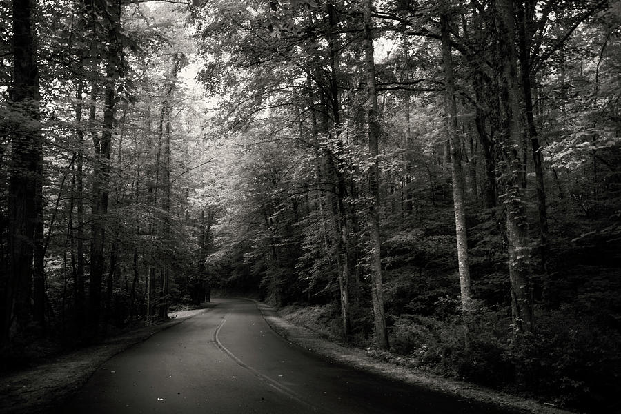 Light And Shadow On A Mountain Road In Black And White Photograph by ...