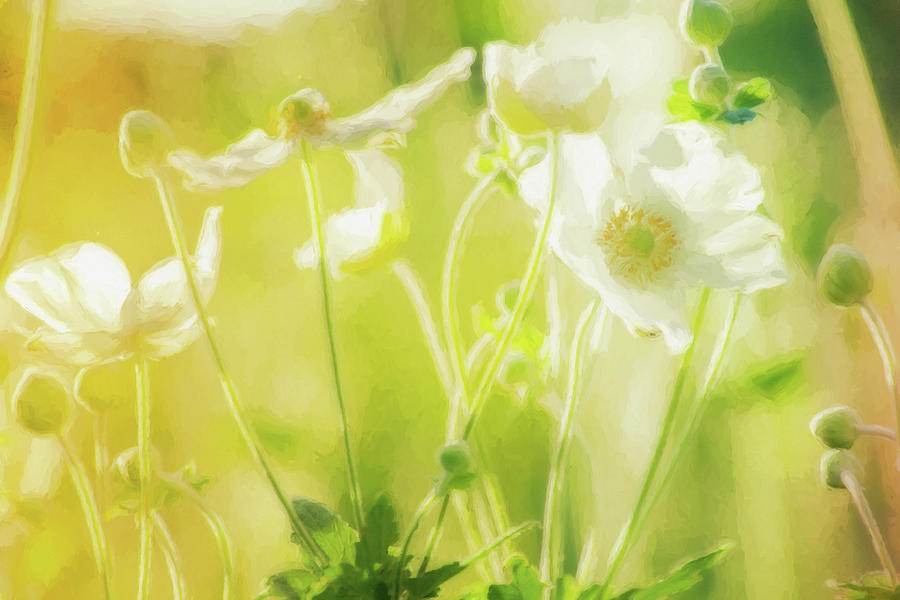 Spring Digital Art - Light and Springy by Terry Davis
