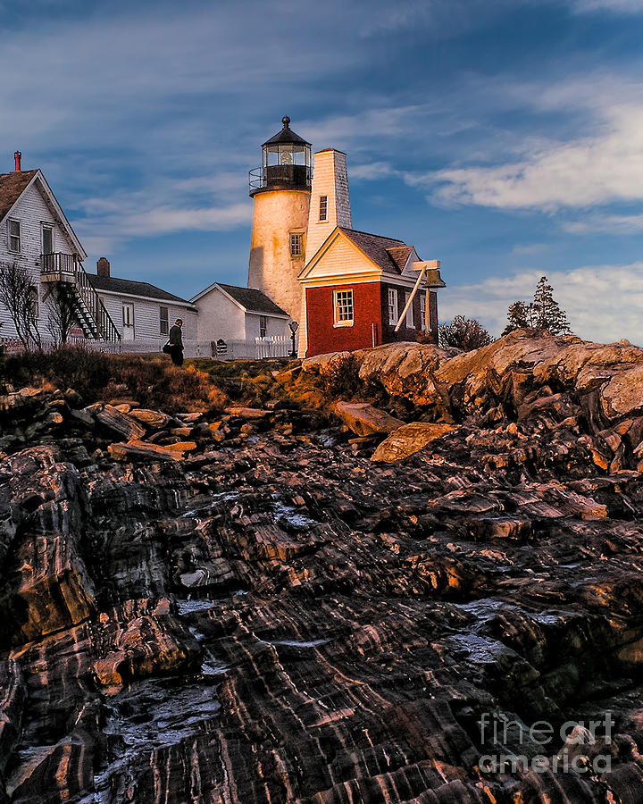 Light at Pemaquid Point Photograph by Nick Zelinsky Jr