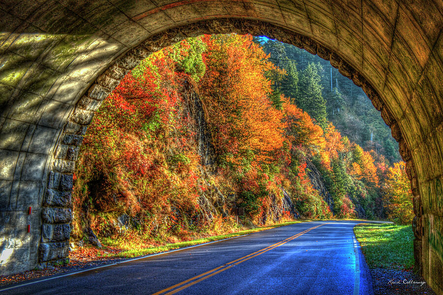 Light At The End Of The Tunnel Blue Ridge Parkway Landscape Art Photograph by Reid Callaway