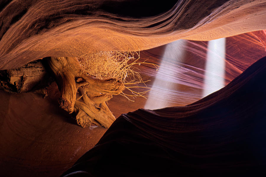 Antelope Canyon Photograph - Light Beams in the Canyon by Lucinda Walter