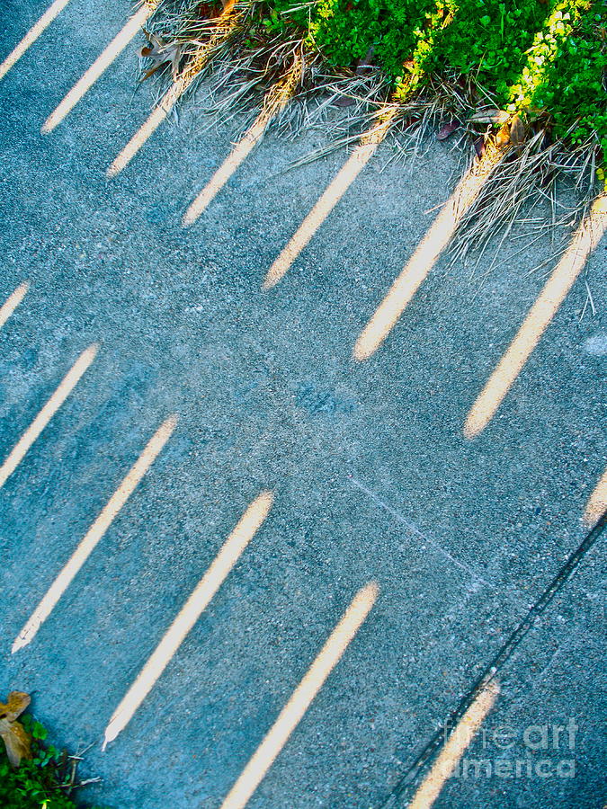 Light Blades Photograph by Chuck Taylor - Fine Art America