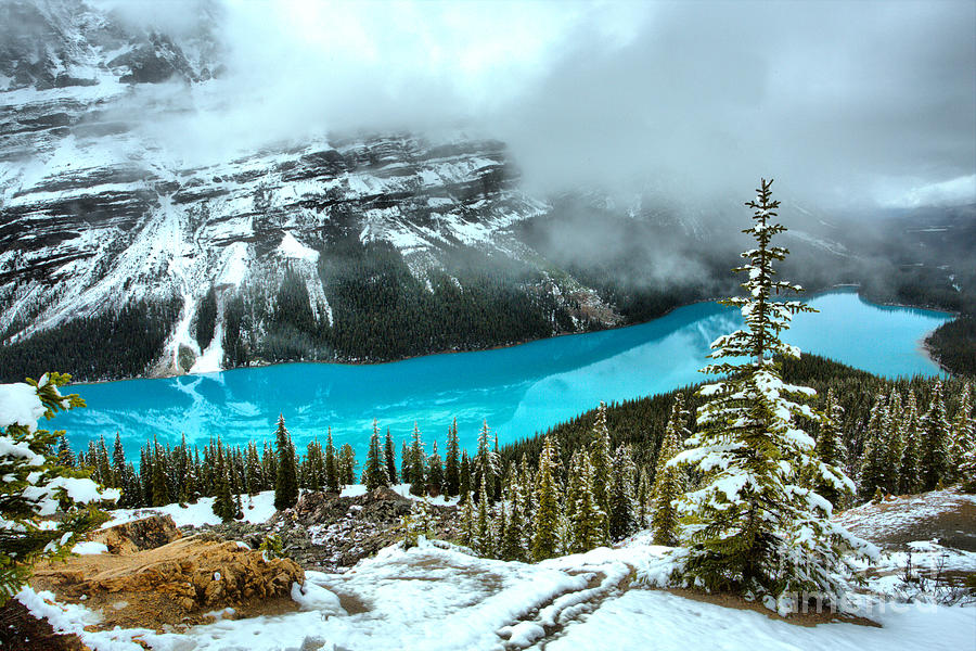 Light Blue Reflections In Peyto Lake Photograph by Adam Jewell