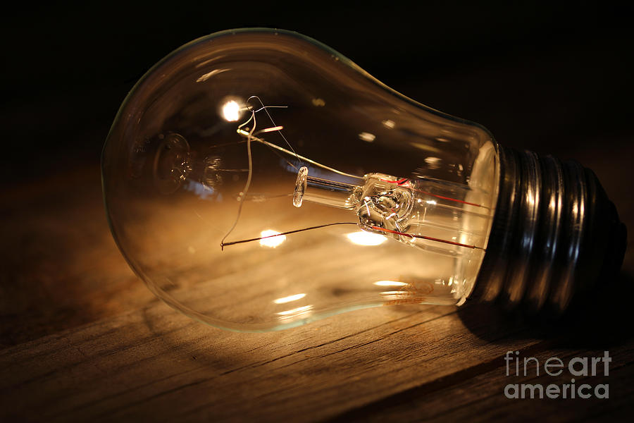Light Bulb - Wood Photograph