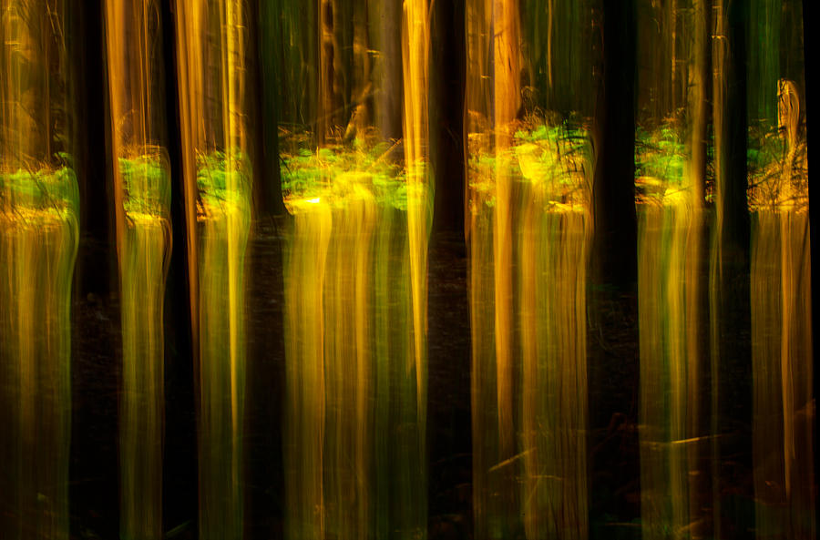 Nature Photograph - Light From The Other Side by Mah FineArt