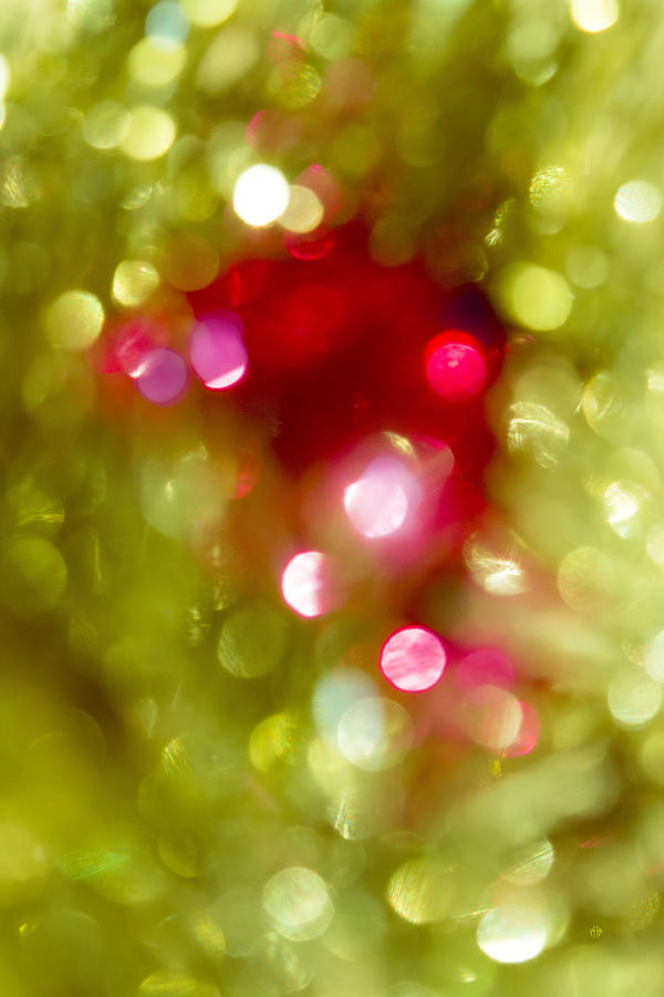 Christmas Photograph - Light green with red bokeh by Irina Effa