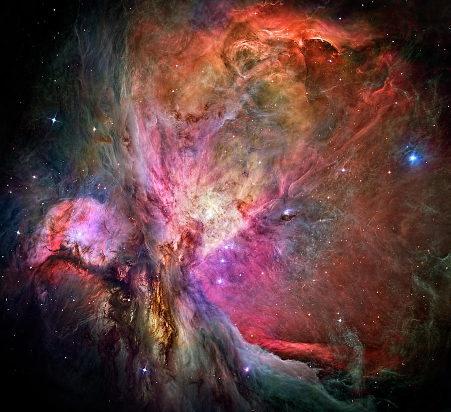 Light Hawk - Orion Nebula M-42 Photograph by Weston Westmoreland