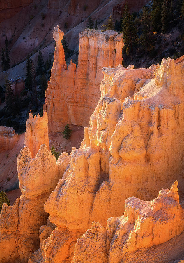 Light in Bryce Canyon Photograph by Alex Mironyuk