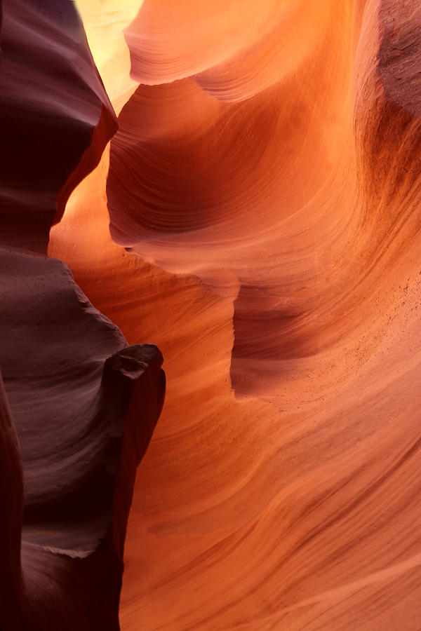 Light in Lower Antelope Canyon Photograph by Marcia Burns Roark - Fine ...