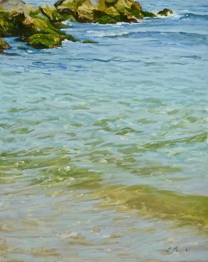 Light in Shallow Water Painting by Ellen Paull