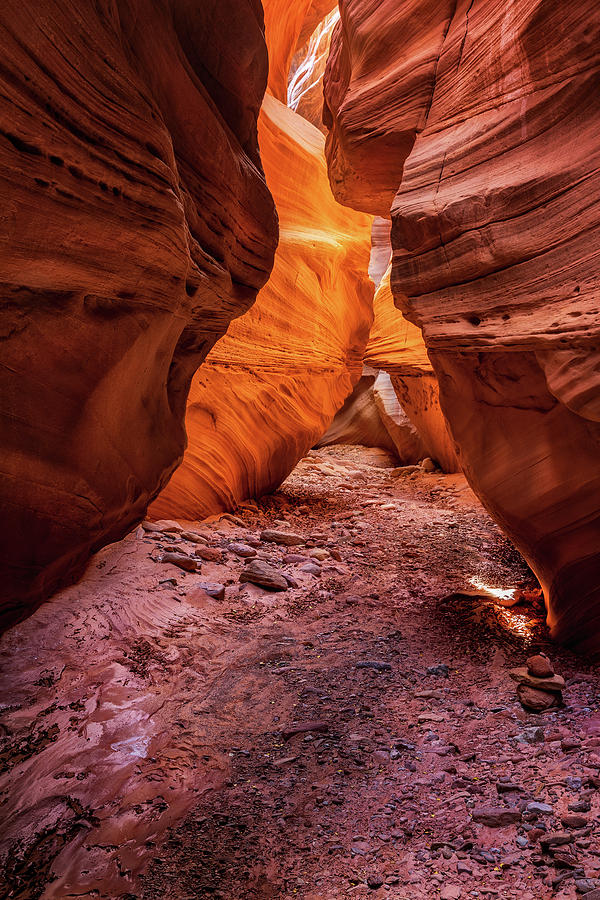 Light in the Canyon Photograph by Alex Mironyuk