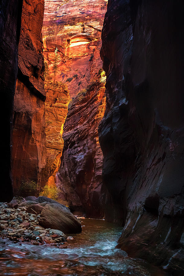 Light In The Canyon Photograph
