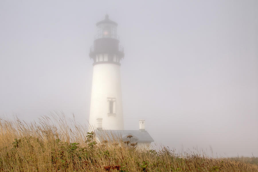 Light In The Fog Photograph by Kristina Rinell