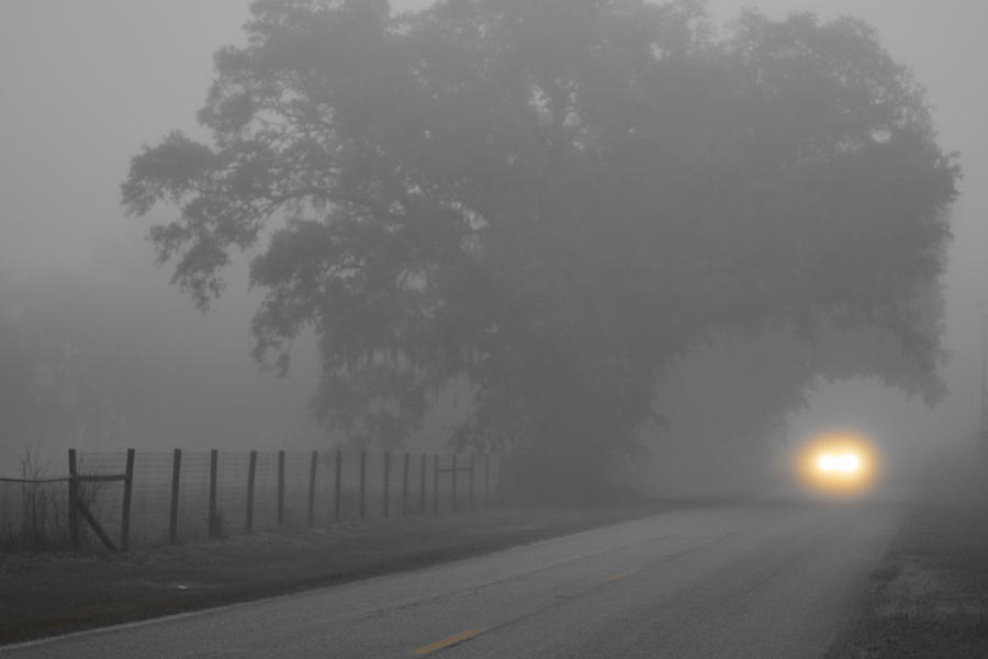 Light in the Fog Photograph by Viktoriya Sorochuk - Fine Art America