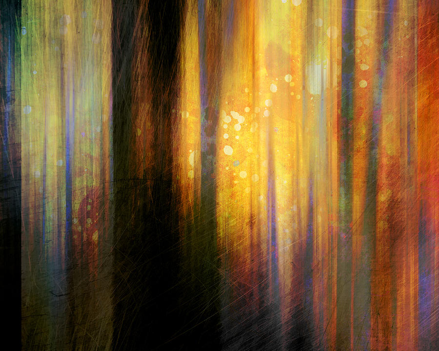 Light In The Forest Digital Art by Ann Powell