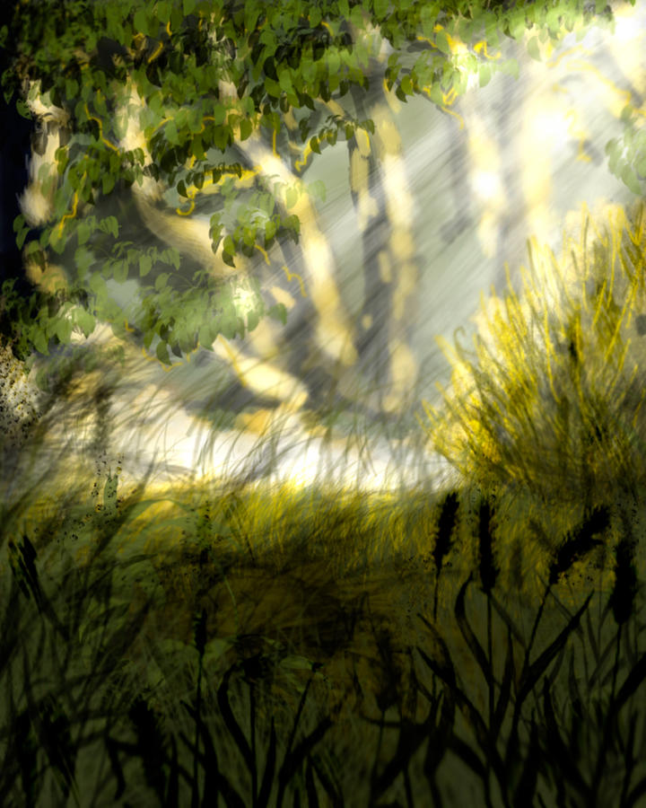 Tree Painting - Light in the Forest by Jessica Suderno