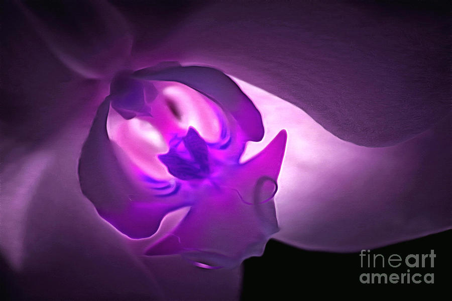 Orchid Digital Art - Light Is Love by Krissy Katsimbras