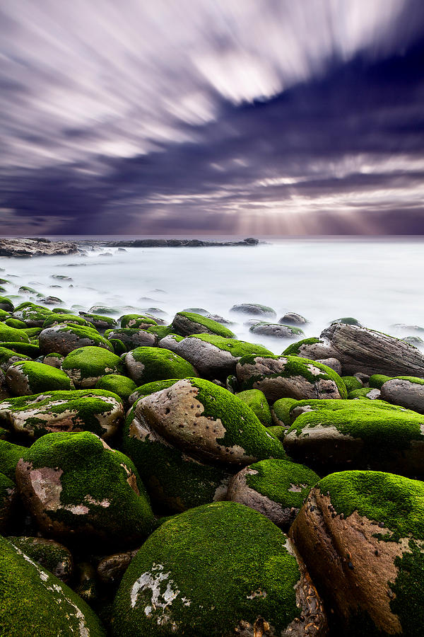 Beach Photograph - Light by Jorge Maia