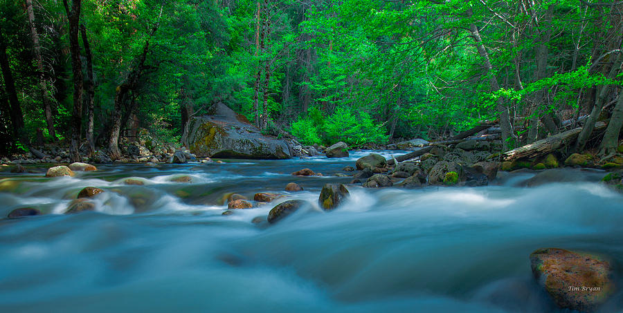Yosemite National Park Photograph - Light Moves- The Merced River by Tim Bryan