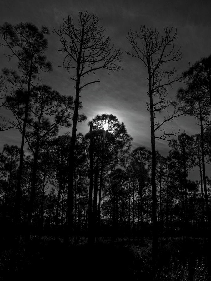 Light of the Moon Photograph by Robert Wilder Jr