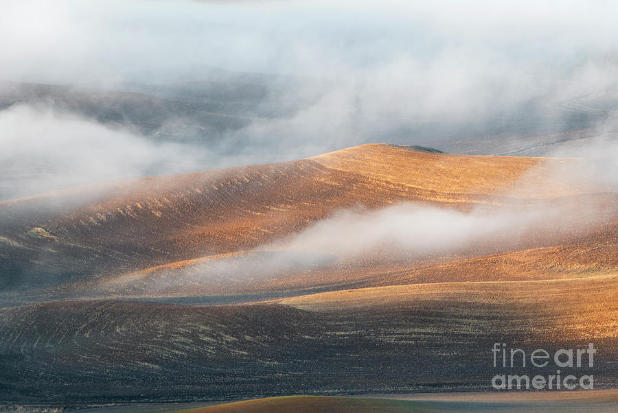 Light on the Hills Photograph by Michael Dawson