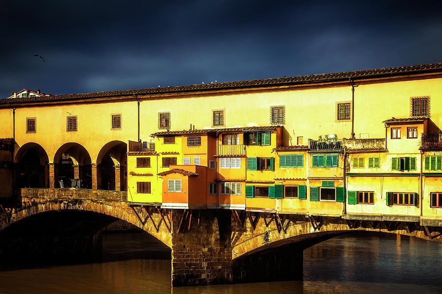 Light on the Ponte Vecchio Photograph by Andrew Soundarajan
