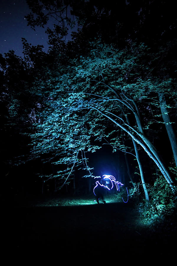 Light Painted Arched Tree  Photograph by Sven Brogren