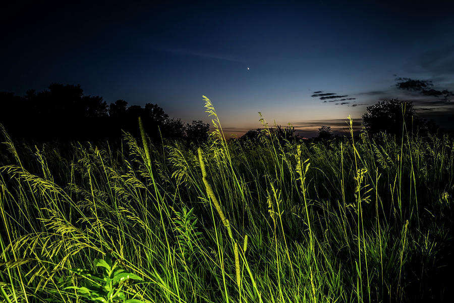 light Painted Prairie Grass at dusk  Photograph by Sven Brogren
