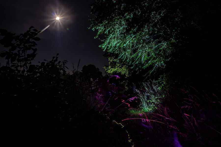 Light painted scene in the moonlight Photograph by Sven Brogren