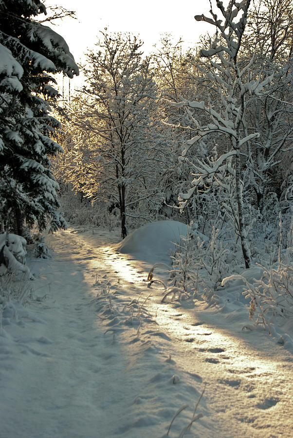 Light Path Photograph by Jarmo Honkanen