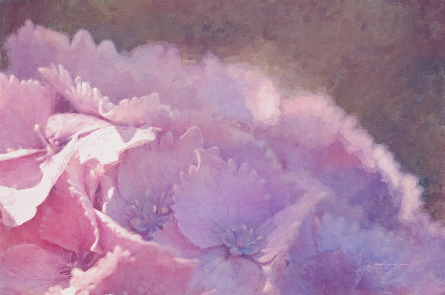 Light Pink Hydrangeas - Digital Painting Photograph by Maria Angelica Maira