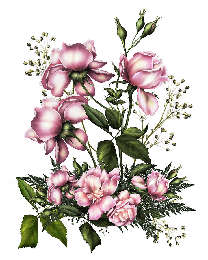 Rose Digital Art - Light Pink Roses On White by Georgiana Romanovna