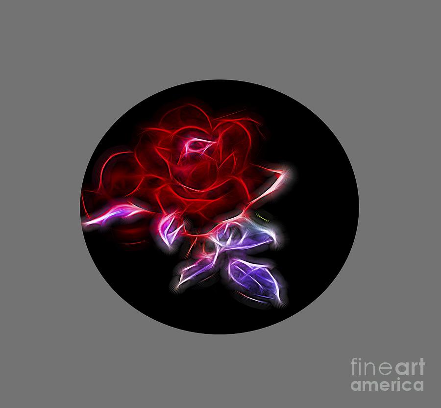 Nature Photograph - Light Play Rose by Linda Phelps