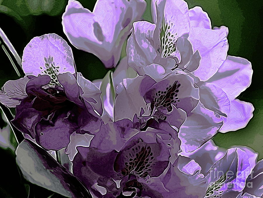 Nature Photograph - Light Purple Rhodie by Erica Hanel